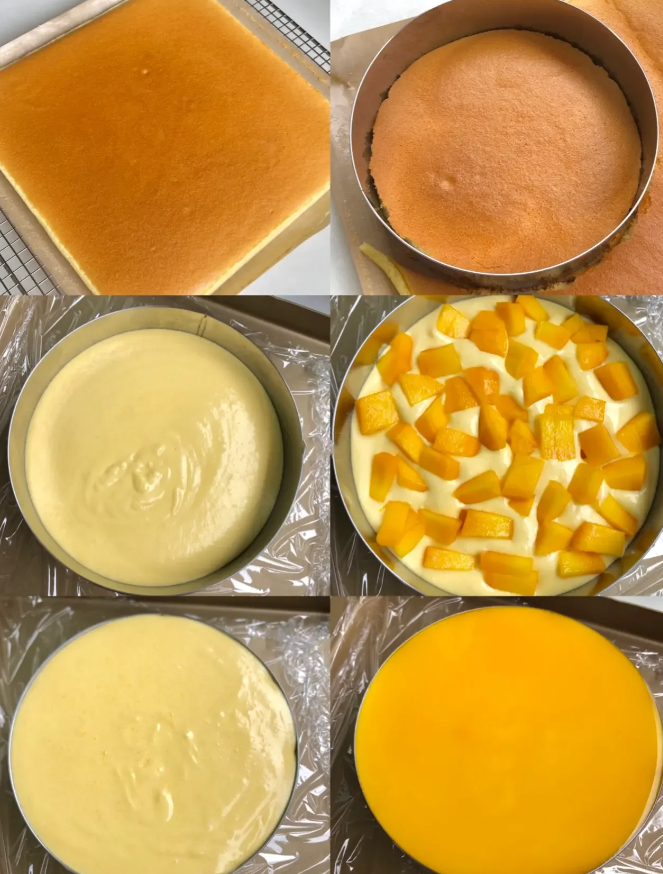 Mango Mousse Cake